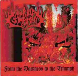 Morbid Symphony (BRA) : From the Darkness to the Triumph
